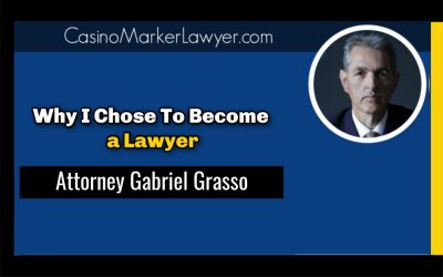 Why I Became a Lawyer